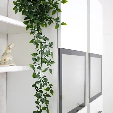 White Orchid Апартаменти