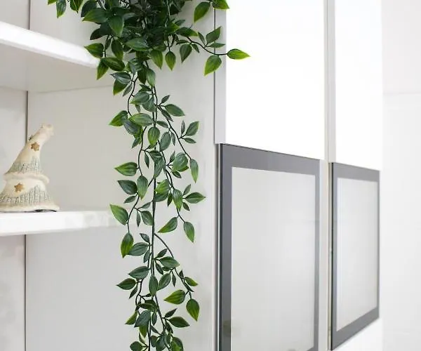 White Orchid Apartment